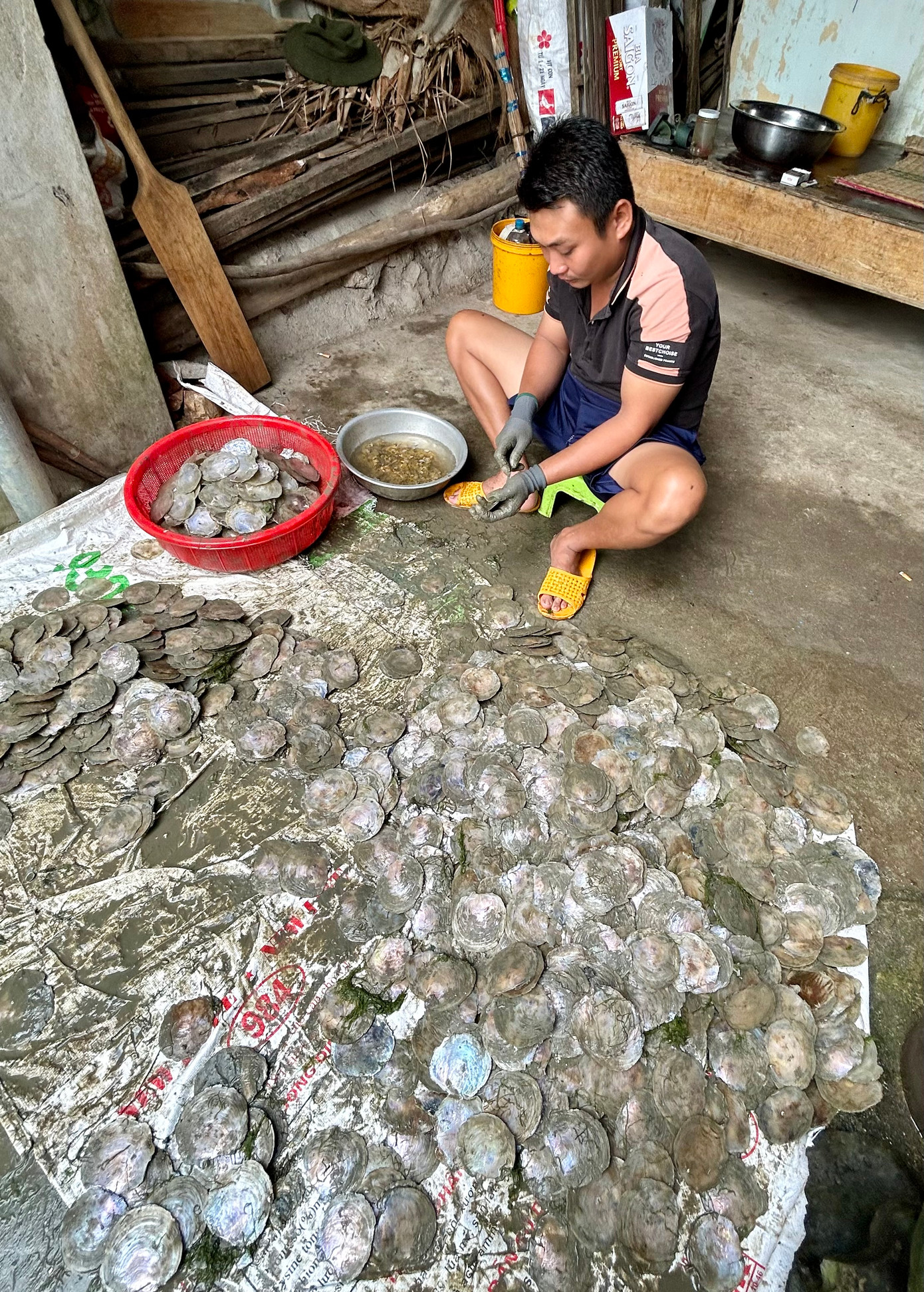 Anh Mỹ ngồi tách vỏ sò điệp mà anh vừa lặn bắt dưới Đầm Ô Loan