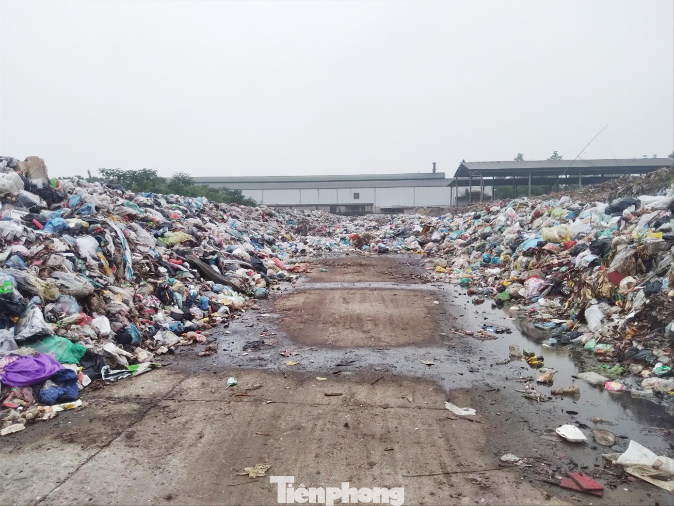 Rác thải tồn đọng ở điểm tập kết rác trong Khu công nghiệp Đại Đồng - Hoàn Sơn gây ô nhiễm Ảnh: Nguyễn Thắng Rác thải tồn đọng ở điểm tập kết rác trong Khu công nghiệp Đại Đồng - Hoàn Sơn gây ô nhiễm Ảnh: Nguyễn Thắng