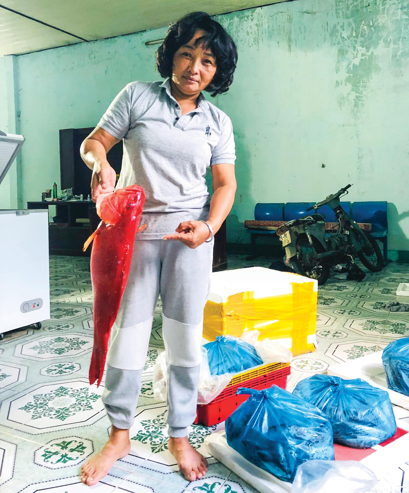 Chị Long chọn cá gửi cho khách quen ở Nha Trang Chị Long chọn cá gửi cho khách quen ở Nha Trang