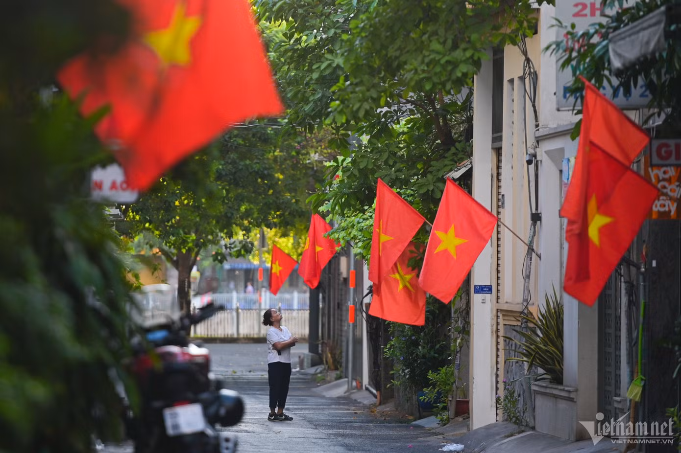 Dưới tán cây xanh, những lá cờ đỏ sao vàng bay phấp phới, tô điểm cho con hẻm nhỏ trên đường Trường Sa trong ngày đặc biệt.