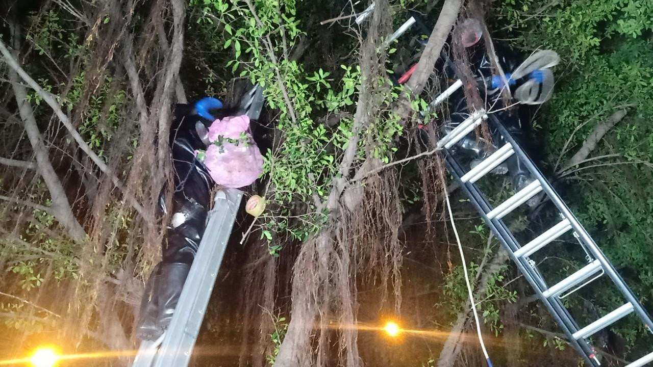 Cán bộ chiến sĩ sử dụng trang phục bắt ong chuyên dụng để thực hiện nhiệm vụ. Cán bộ chiến sĩ sử dụng trang phục bắt ong chuyên dụng để thực hiện nhiệm vụ.