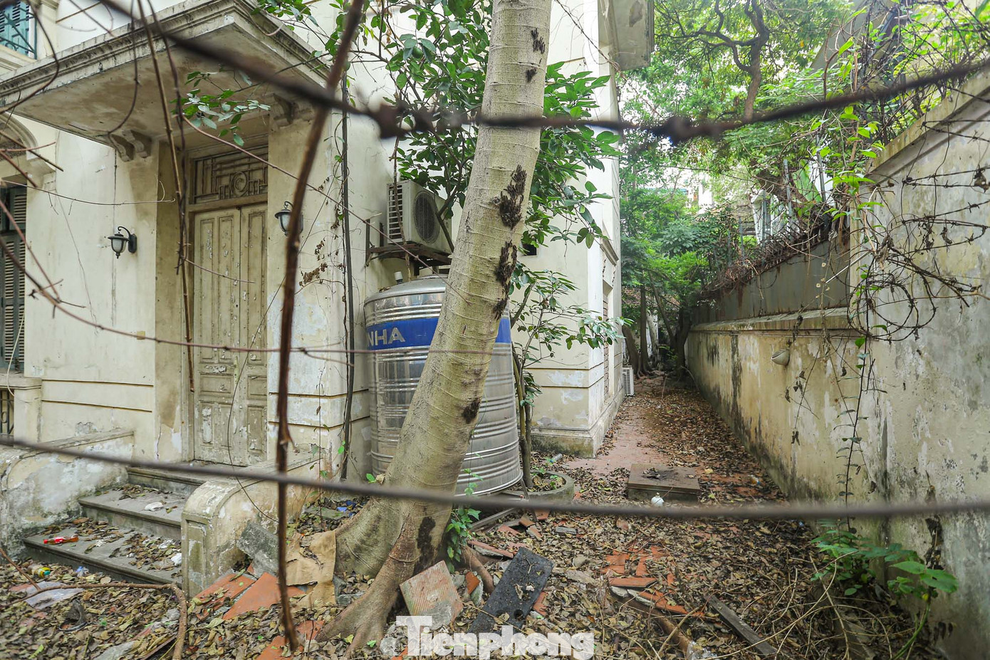 Cảnh hoang hóa bên trong hàng rào sắt. Cảnh hoang hóa bên trong hàng rào sắt.