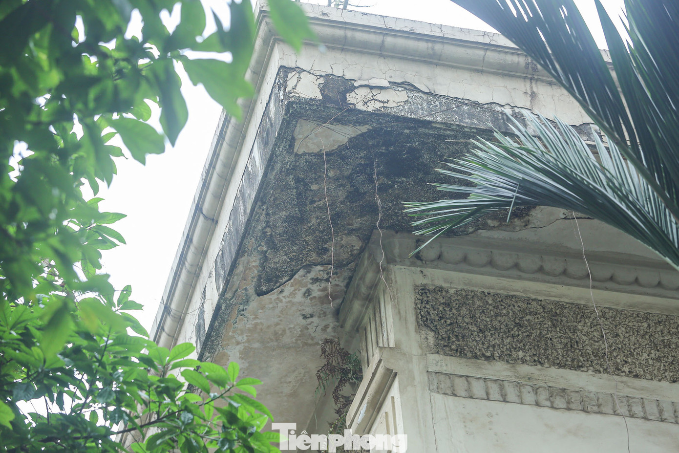 Các mảng tường đều bong tróc, ẩm thấp. Các mảng tường đều bong tróc, ẩm thấp.