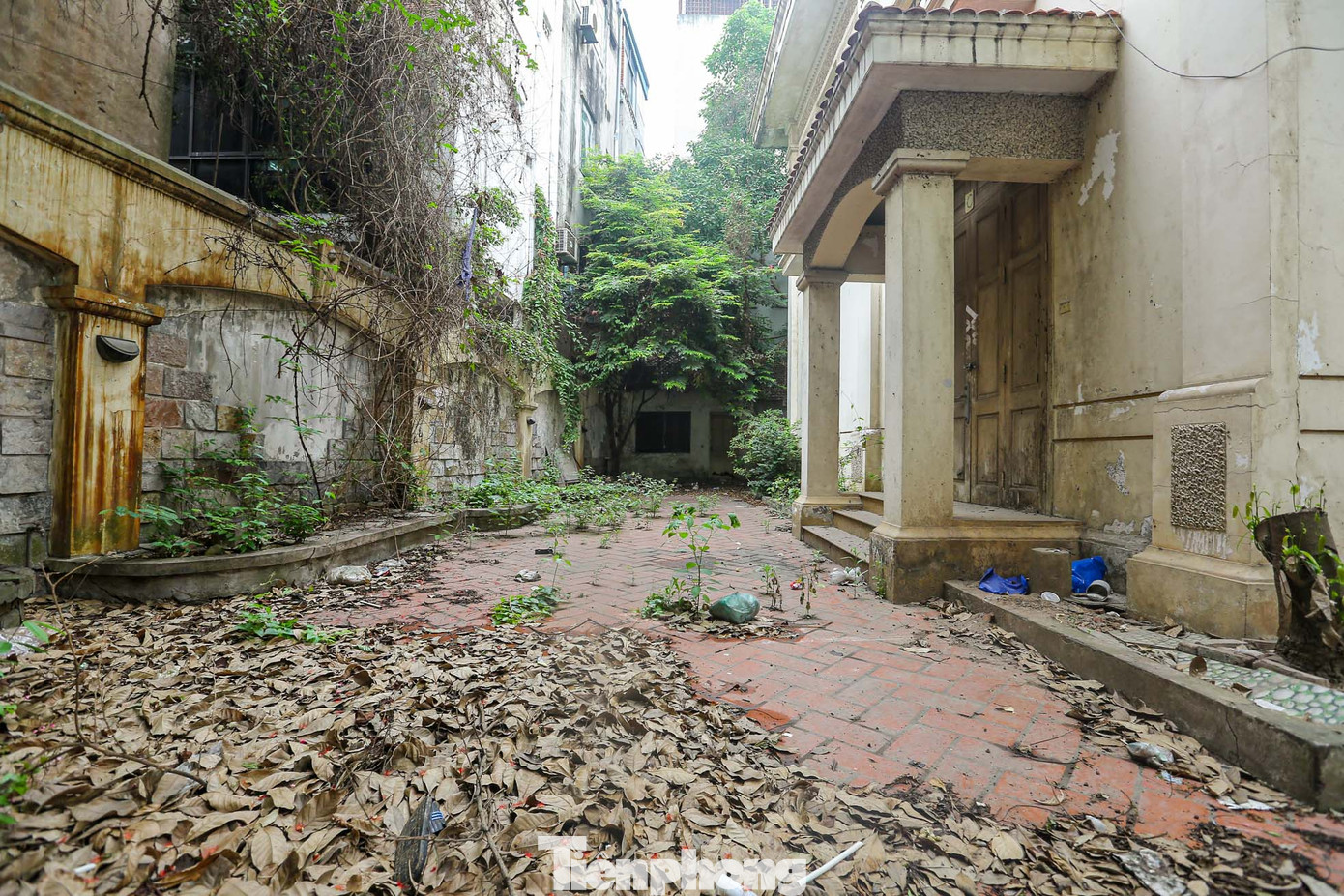 Trong khuôn viên ngôi nhà cũng trong tình trạng bỏ hoang lâu ngày, cỏ mọc từ sân cho đến bậc thềm... xung quanh căn biệt thự với nhiều lá cây rụng. Trong khuôn viên ngôi nhà cũng trong tình trạng bỏ hoang lâu ngày, cỏ mọc từ sân cho đến bậc thềm... xung quanh căn biệt thự với nhiều lá cây rụng.