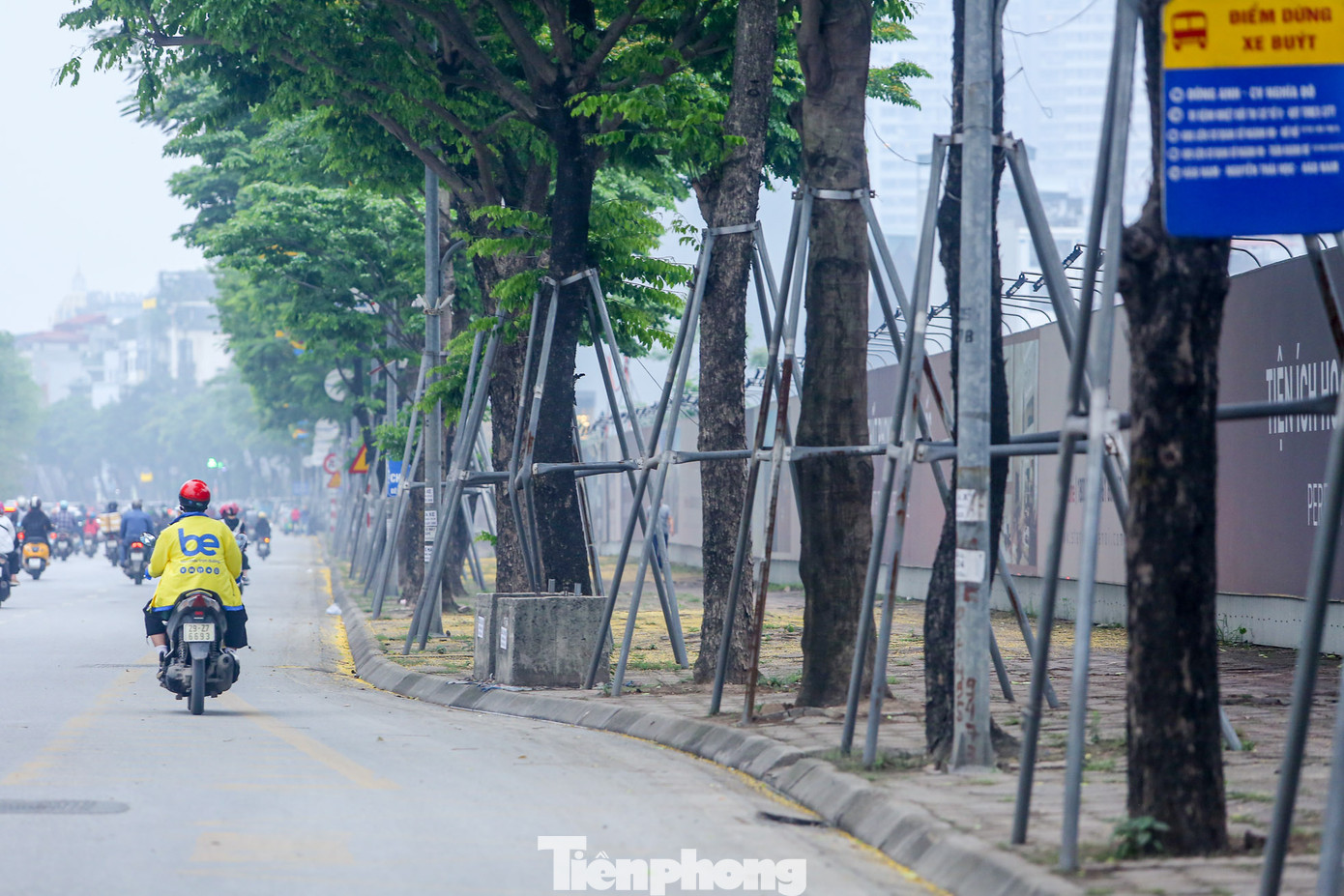 Những khung sắt, giá đỡ được lắp để bảo vệ cây trồng mới, tránh bị xiêu vẹo, lật đổ... Tuy nhiên, sau một thời gian, cây trồng đã khỏe mạnh, phát triển tốt thì những khung sắt này lại làm hại cây.
