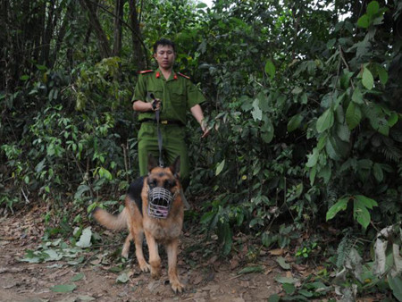 Lực lượng chức năng bàn tính phương án xử lý vụ việc