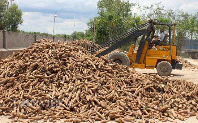 Doanh nghiệp sắn phản ánh chưa được hoàn thuế VAT đến cả nghìn tỷ đồng (ảnh minh họa). Doanh nghiệp sắn phản ánh chưa được hoàn thuế VAT đến cả nghìn tỷ đồng (ảnh minh họa).