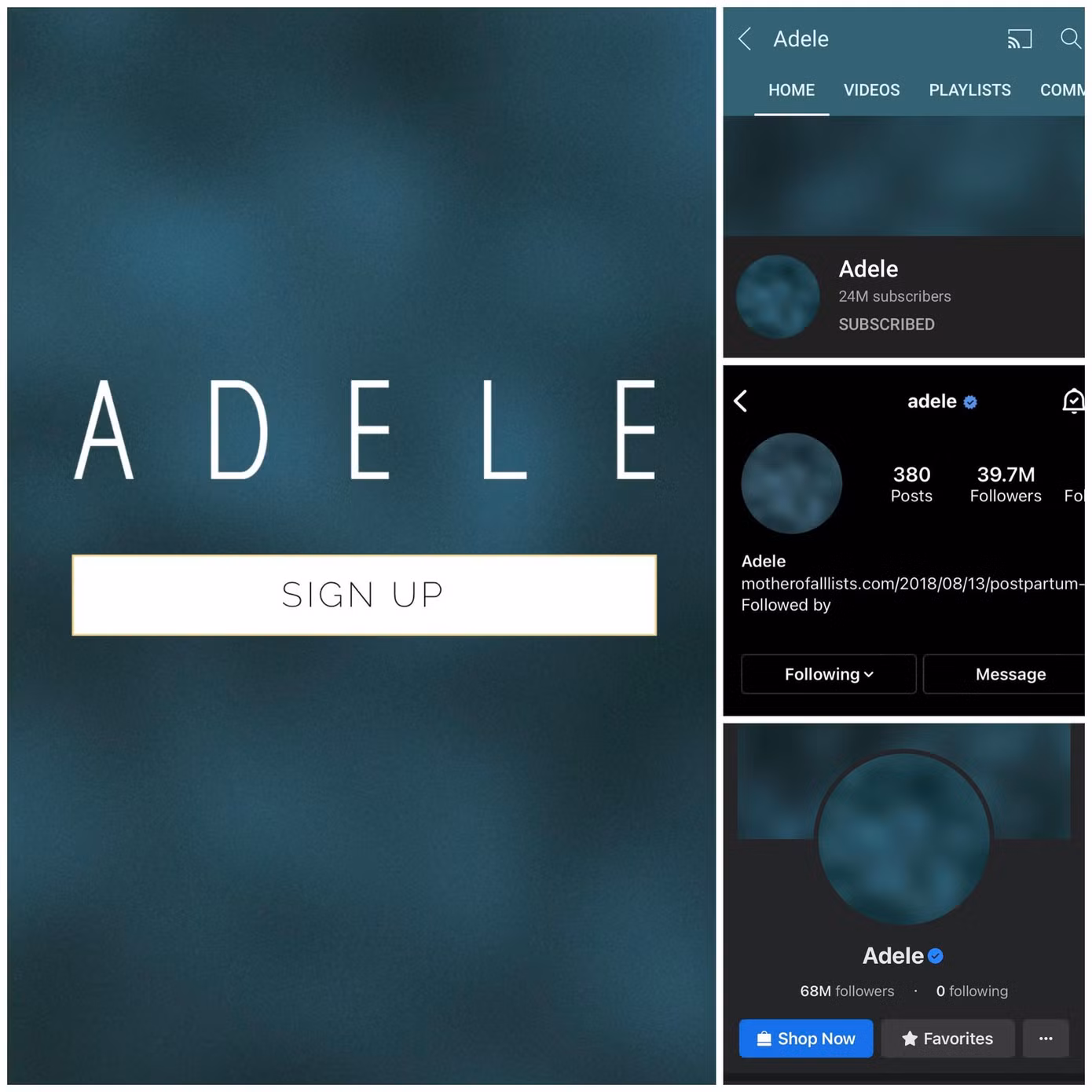 Các trang mạng xã hội của Adele đồng loạt cập nhật thay đổi.