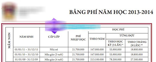 Subeo sinh năm 2010 nên mức học phí nằm ở hàng 2 - dành cho năm sinh từ 1/1/10 đến 31/12/10 với mức chi phí 147 triệu đồng/ 1 năm và phí nhập học là gần 22 triệu đồng