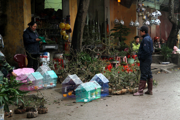 Các chủ hàng tranh thủ nói chuyện với nhau. Các chủ hàng tranh thủ nói chuyện với nhau