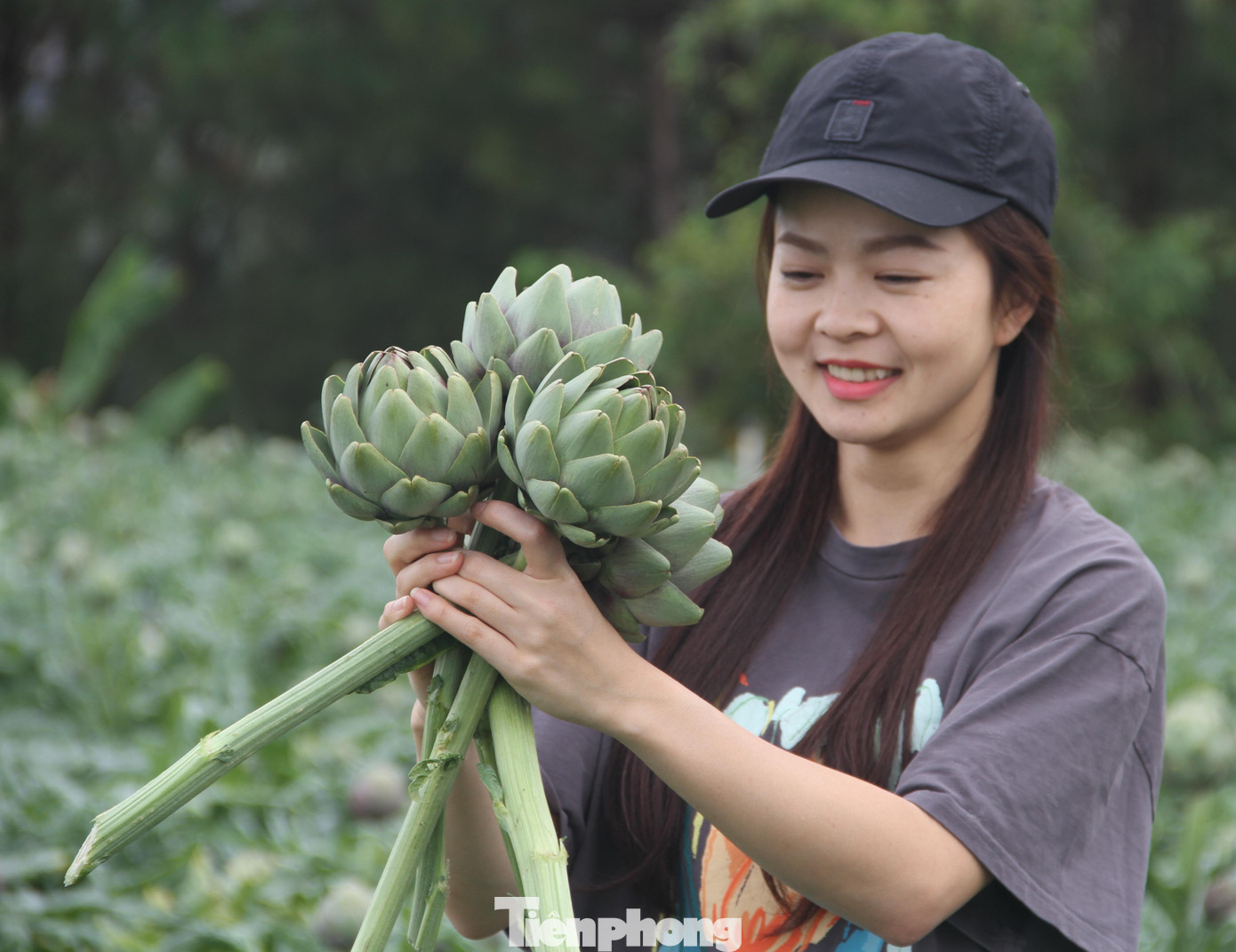 Chị Lan Anh (đường Hoàng Diệu, thành phố Đà Lạt) là người thường xuyên làm "hướng dẫn viên miễn phí" dẫn bạn bè và người quen đi chụp hình các làng hoa trồng Atiso ở Đà Lạt. Ảnh CÔNG HOAN