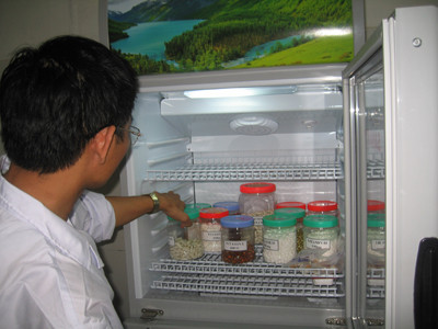 Tủ lạnh đựng các loại vitamin. Ảnh T.Hà. Tủ lạnh đựng các loại vitamin. Ảnh T.Hà