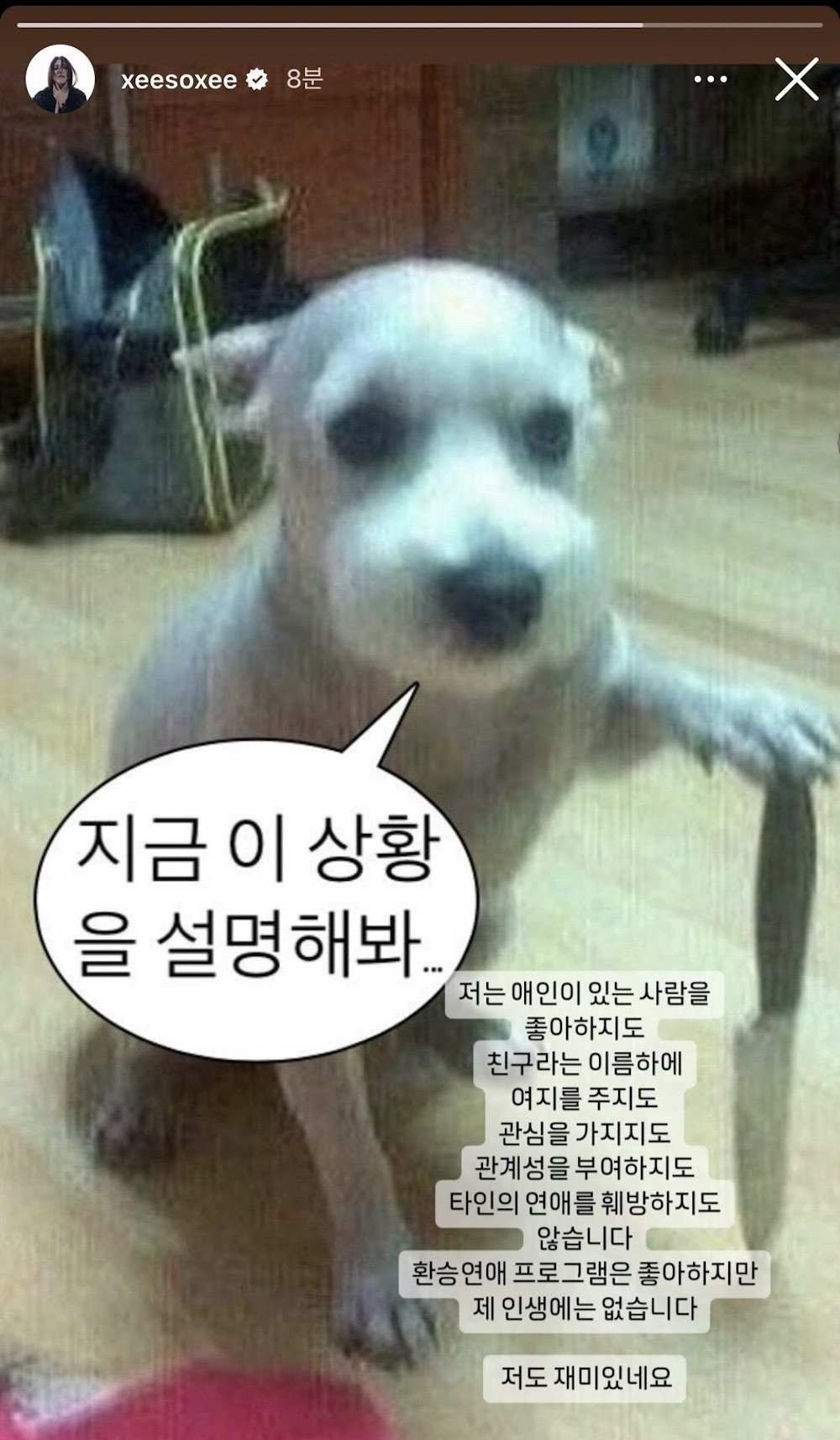 Han So Hee sử dụng bức ảnh về chú chó đặt chân lên con dao để đáp trả bài đăng "Thú vị quá" của Hyeri.