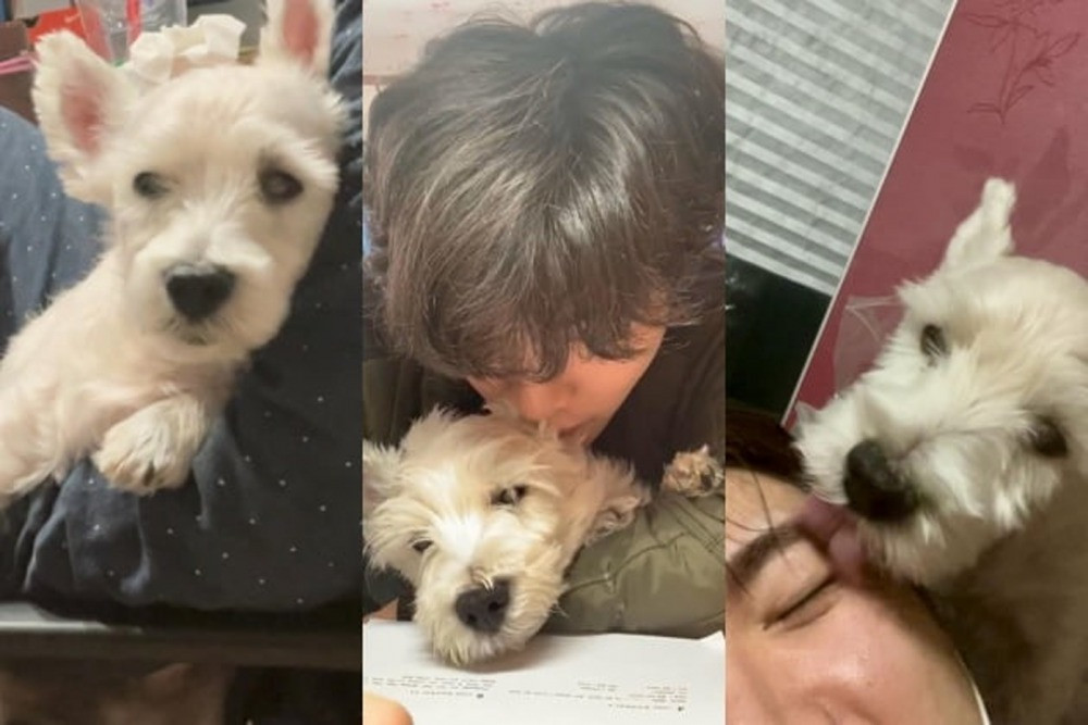 Kangsoe nổi tiếng trong ồn ào tình ái của Han So Hee - Ryu Jun Yeol - Hyeri.