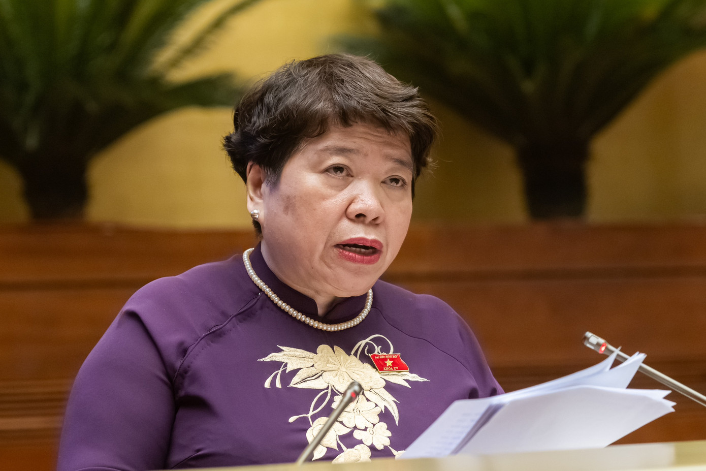 Chủ nhiệm Ủy ban Xã hội Nguyễn Thúy Anh. Ảnh: Như Ý