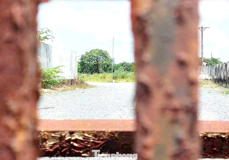 Đến ngày 2/12/2005, UBND tỉnh Bình Dương có Văn bản số 6010 về việc chấp thuận chủ trương chuyển đổi chủ đầu tư Dự án thương mại – dịch vụ phố vườn Lái Thiêu. Đến ngày 2/12/2005, UBND tỉnh Bình Dương có Văn bản số 6010 về việc chấp thuận chủ trương chuyển đổi chủ đầu tư Dự án thương mại – dịch vụ phố vườn Lái Thiêu.