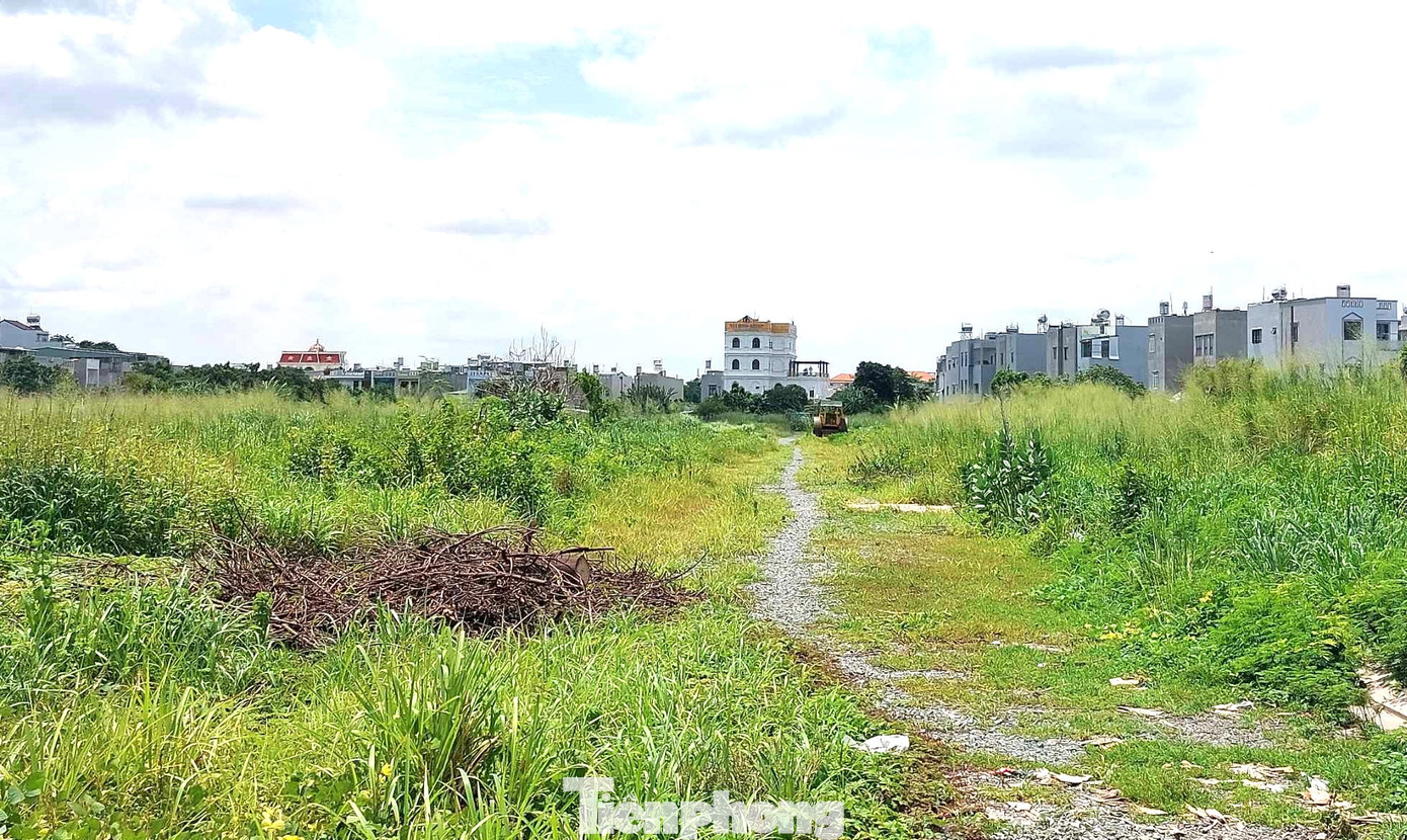 Khu dân cư đông đúc bao quanh khu vực dự án