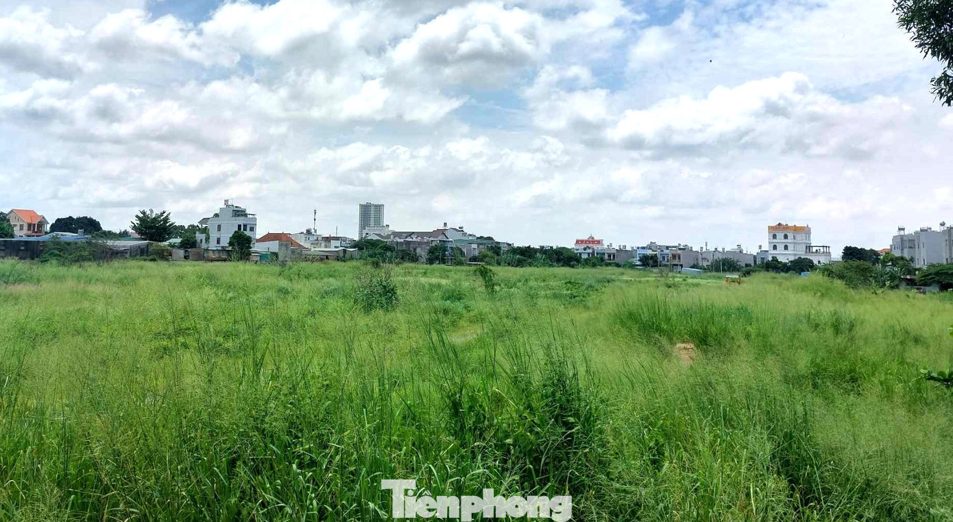 Bên trong dự án cỏ hoang mọc đầy