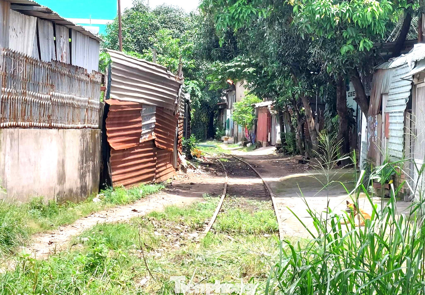 Đường ray xe lửa tại khu vực dự án, đoạn chưa bị tháo dở