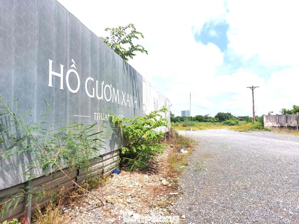 Ngày 31/10/2007, UBND tỉnh Bình Dương ban hành Quyết định số 4779 về việc phê duyệt quy hoạch chi tiết xây dựng khu dân cư nhà vườn, biệt thự Vườn Cau (tên thương mại: Khu phức hợp Siler Lake), thị trấn Lái Thiêu, huyện Thuận An (nay là thành phố Thuận An), tỉnh Bình Dương. Ngày 31/10/2007, UBND tỉnh Bình Dương ban hành Quyết định số 4779 về việc phê duyệt quy hoạch chi tiết xây dựng khu dân cư nhà vườn, biệt thự Vườn Cau (tên thương mại: Khu phức hợp Siler Lake), thị trấn Lái Thiêu, huyện Thuận An (nay là thành phố Thuận An), tỉnh Bình Dương.