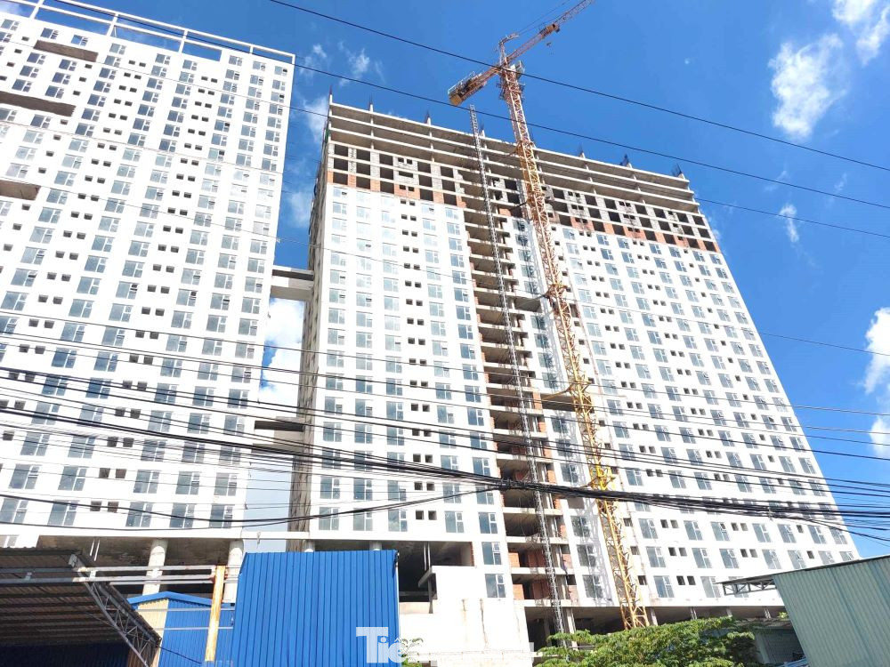 Đại diện Thanh tra tỉnh Bình Dương cho biết, sau khi tiếp nhận phản ánh của người dân, đơn vị này đã tiến hành thanh tra đối với dự án trên. Kết quả thanh tra cho thấy, Công ty Cổ phần Naviland đã thực hiện giao dịch chuyển nhượng 1.082 căn hộ tại dự án cho khách hàng bằng hình thức ký Hợp đồng mua bán căn hộ chung cư khi chưa đủ điều kiện theo quy định. Đại diện Thanh tra tỉnh Bình Dương cho biết, sau khi tiếp nhận phản ánh của người dân, đơn vị này đã tiến hành thanh tra đối với dự án trên. Kết quả thanh tra cho thấy, Công ty Cổ phần Naviland đã thực hiện giao dịch chuyển nhượng 1.082 căn hộ tại dự án cho khách hàng bằng hình thức ký Hợp đồng mua bán căn hộ chung cư khi chưa đủ điều kiện theo quy định.