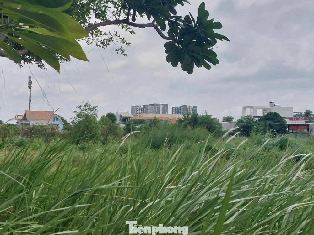 Dự án Khu dân cư nhà vườn, biệt thự Vườn Cau do Công ty Cổ phần Thương mại và Du lịch Bình Dương làm chủ đầu tư. Dự án Khu dân cư nhà vườn, biệt thự Vườn Cau do Công ty Cổ phần Thương mại và Du lịch Bình Dương làm chủ đầu tư.