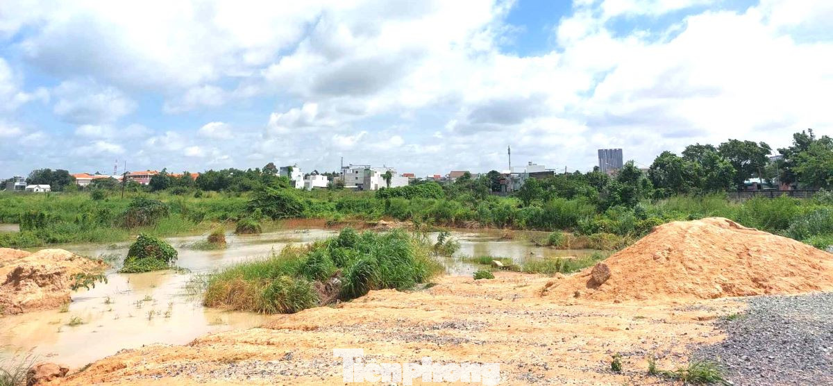 Đại diện Sở Xây dựng tỉnh Bình Dương cho biết, đơn vị này đã có quyết định xử phạt hành chính, buộc khắc phục hậu quả tại dự án Khu dân cư nhà vườn, biệt thự Vườn Cau do Công ty Cổ phần Thương mại và Du lịch Bình Dương làm chủ đầu tư. Đại diện Sở Xây dựng tỉnh Bình Dương cho biết, đơn vị này đã có quyết định xử phạt hành chính, buộc khắc phục hậu quả tại dự án Khu dân cư nhà vườn, biệt thự Vườn Cau do Công ty Cổ phần Thương mại và Du lịch Bình Dương làm chủ đầu tư.