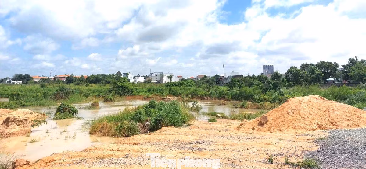 Đại diện Sở Xây dựng tỉnh Bình Dương cho biết, đơn vị này đã có quyết định xử phạt hành chính, buộc khắc phục hậu quả tại dự án Khu dân cư nhà vườn, biệt thự Vườn Cau do Công ty Cổ phần Thương mại và Du lịch Bình Dương làm chủ đầu tư. Đại diện Sở Xây dựng tỉnh Bình Dương cho biết, đơn vị này đã có quyết định xử phạt hành chính, buộc khắc phục hậu quả tại dự án Khu dân cư nhà vườn, biệt thự Vườn Cau do Công ty Cổ phần Thương mại và Du lịch Bình Dương làm chủ đầu tư.