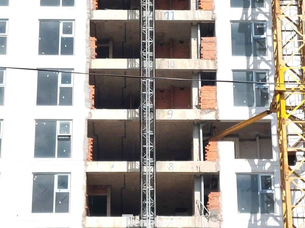 Đến ngày 7/4/2017, Công ty Tường Phong ký hợp đồng với Công ty Cổ phần đầu tư VIETHOME về hợp tác kinh doanh, cùng góp vốn xây dựng và phân chia lợi nhuận kinh doanh. Đến ngày 7/4/2017, Công ty Tường Phong ký hợp đồng với Công ty Cổ phần đầu tư VIETHOME về hợp tác kinh doanh, cùng góp vốn xây dựng và phân chia lợi nhuận kinh doanh.