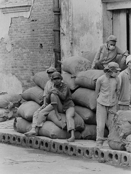 Hình ảnh những công nhân xay gạo đường Đào Duy Từ