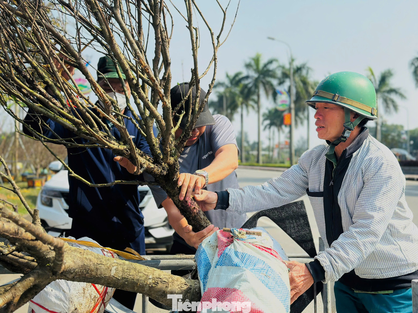 Dịch vụ chở hoa Tết chỉ tấp nập khoảng 10 ngày nên các tài xế đều cố gắng chạy ngày chạy đêm, phục vụ nhu cầu của người chơi hoa.
