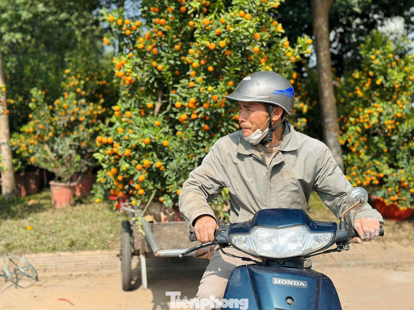 Theo những người hành nghề chở hoa thuê, mấy hôm nay thời tiết Hà Tĩnh nắng đẹp nên lượng khách mua hoa Tết khá đông. Mỗi ngày họ có thể kiếm trên 1 triệu đồng.
