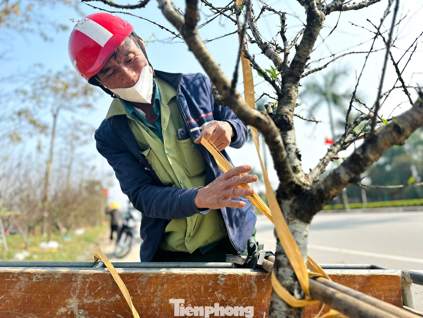 Dịch vụ chở hoa Tết chỉ tấp nập khoảng 10 ngày nên các tài xế đều cố gắng chạy ngày chạy đêm, phục vụ nhu cầu của người chơi hoa.
