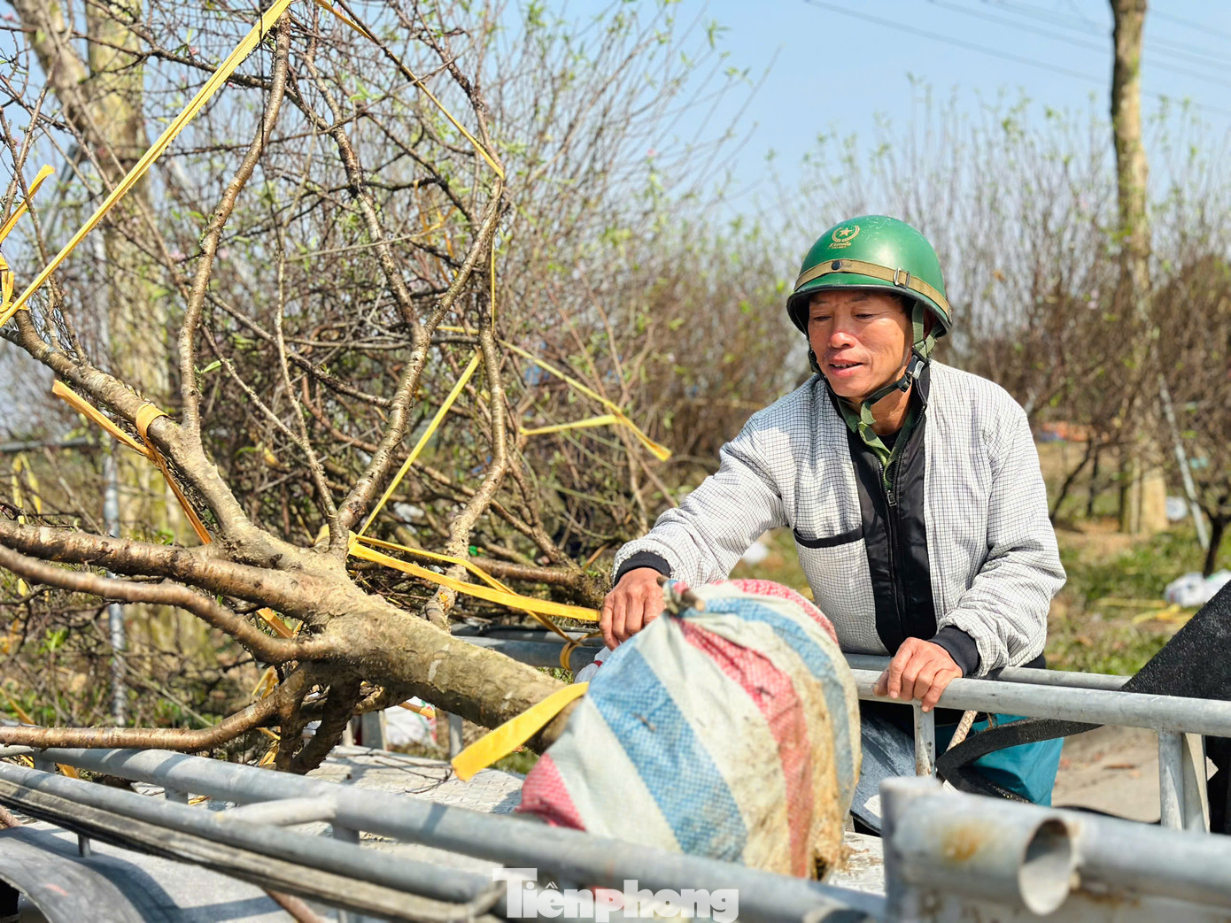 Nhiều ngày qua, ông Dương Đức Tuấn (60 tuổi, trú xã Tượng Sơn, thành phố Hà Tĩnh) đưa xe kéo ra tuyến đường Xô Viết Nghệ Tĩnh để chở hoa, cây cảnh. Mỗi cây, ông Tuấn được trả từ 100-200 ngàn đồng/lần chở. Theo ông Tuấn, ngoài nhiệm vụ chở cây cảnh, bản thân còn phải đảm bảo trồng cây, đặt cây vào vị trí yêu cầu của gia chủ.