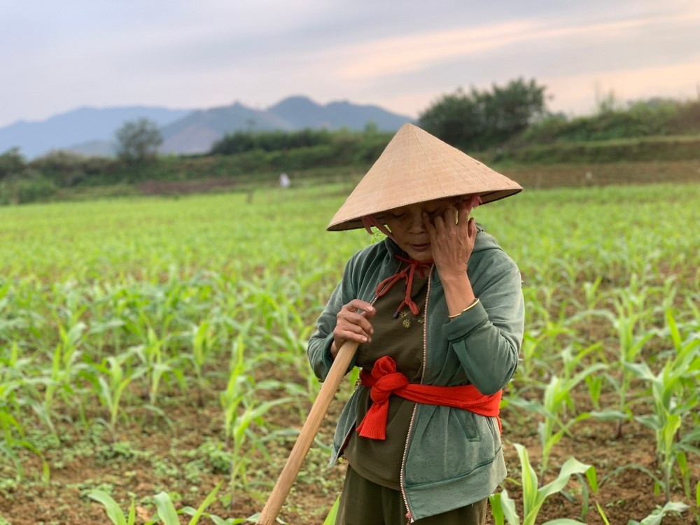 Bà Nguyễn Thị Long (trú thôn Kim Thành, xã Sơn Tây) cho biết, sau khi thi công xong cầu Trung Lưu nối liền hai thôn Kim Thành và Trung Lưu đã làm thay đổi dòng chảy, khiến đất bên bờ sông bị sạt lở. "Mong muốn ngành chức năng sớm có phương án để khắc phục. Nếu không được xử lý sớm nguy cơ vài năm nữa sẽ lấn sâu, dân không còn đất để sản xuất", bà Long nói.