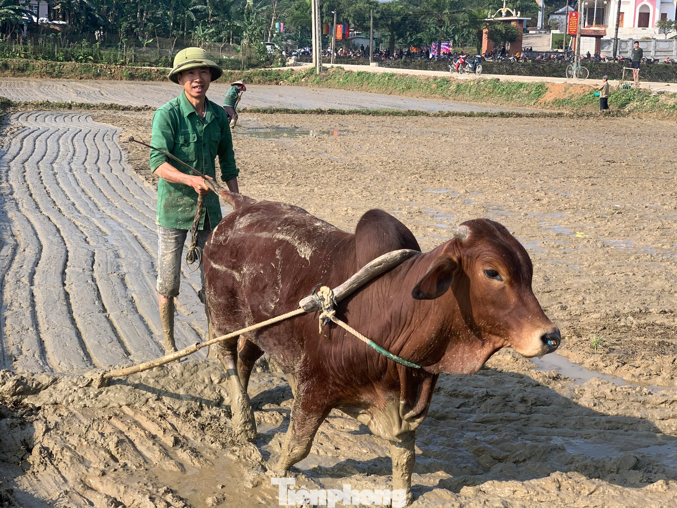 "Dù mới Tết xong nhưng mọi người tranh thủ thời gian để ra đồng làm đất gieo mạ cho kịp vụ mùa vì giống lúa đã mọc mầm. Như những năm trước làm xong trước Tết nhưng năm nay làm muộn hơn. Gia đình tôi làm 2 sào ruộng nên chỉ làm một buổi sáng sẽ xong", anh Tuấn, trú xã Sơn Giang (huyện Hương Sơn) cho hay.
