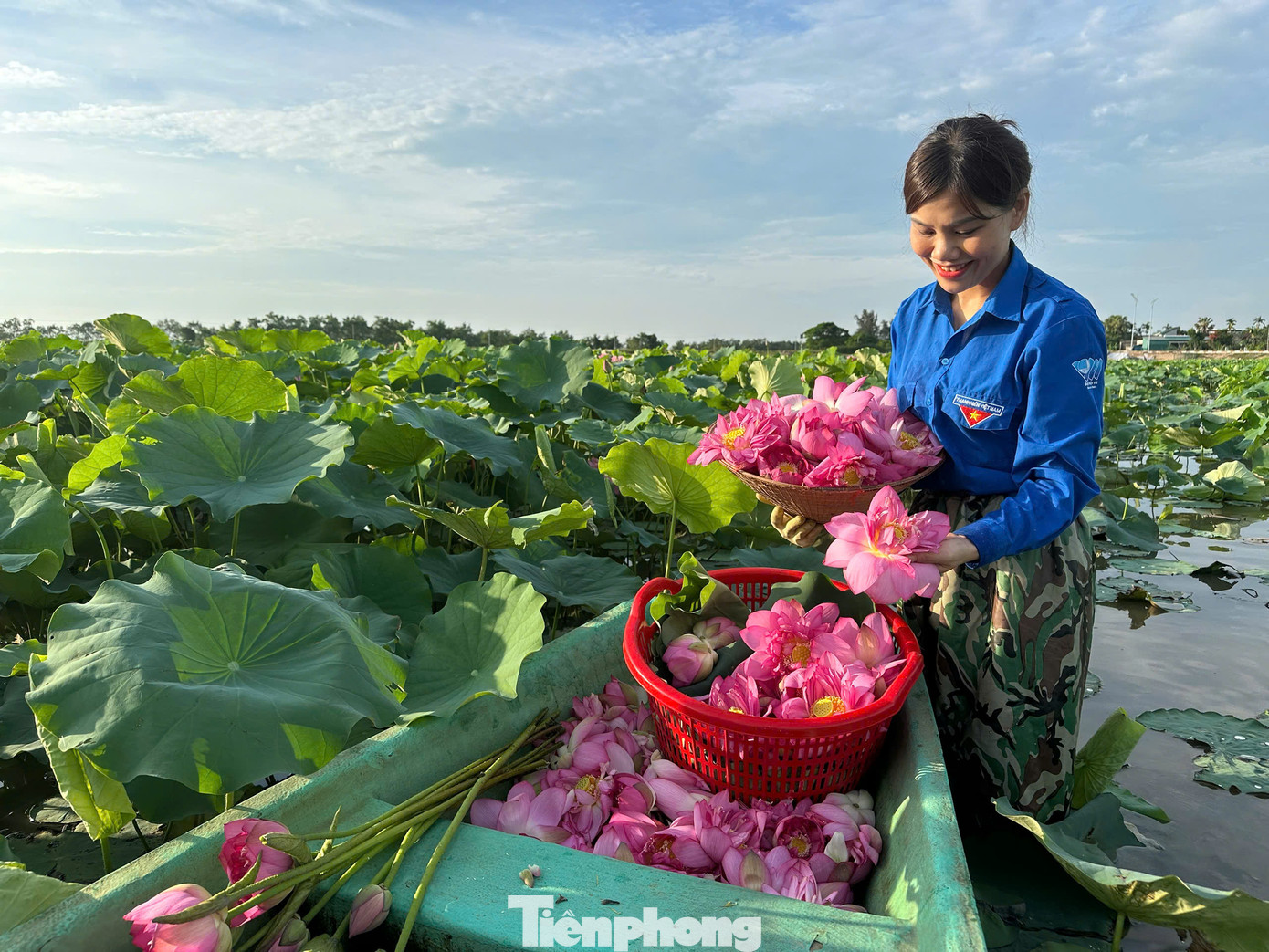 "Chúng tôi không chỉ trồng sen để bán hoa tươi mà còn hướng đến khai thác toàn diện giá trị của cây sen, từ hoa, hạt, lá đến tâm sen. Qua đó tạo sinh kế bền vững, nâng cao thu nhập cho người dân, đặc biệt là đoàn viên thanh niên. Đây cũng là cách để thanh niên góp phần vào xây dựng nông thôn mới, phát triển kinh tế theo hướng xanh và bền vững”, chị Nguyễn Thị Trang - Bí thư Đoàn phường Thạch Hưng (thành phố Hà Tĩnh) chia sẻ.