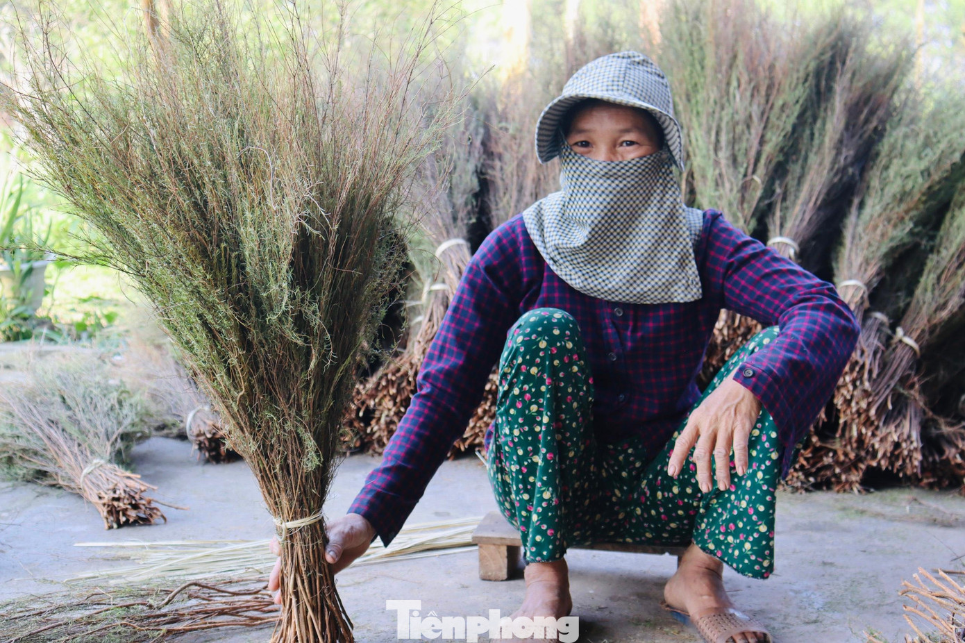 Gần 25 năm nay, gia đình chị Đặng Thị Mơ, 46 tuổi (trú tại thôn 3, xã Phúc Đồng, huyện Hương Khê) xem nghề làm chổi trện là nguồn thu nhập chính cho cả gia đình.