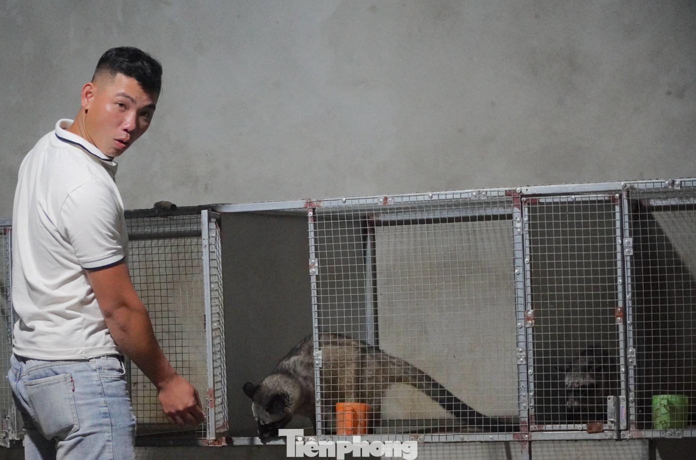 Hơn 1 năm kể từ khi bắt đầu xây dựng mô hình, anh Sáng đã bán được 40 con giống.