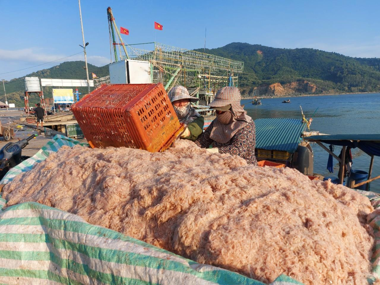 Nhờ thời tiết thuận lợi, thời gian qua ngư dân Hà Tĩnh đưa thuyền ra biển đánh bắt và trúng đậm nhiều loại hải sản. Tại cảng Cửa Sót, huyện Lộc Hà từng đoàn thuyền chở ruốc đầy khoang cập bờ. Nhờ thời tiết thuận lợi, thời gian qua ngư dân Hà Tĩnh đưa thuyền ra biển đánh bắt và trúng đậm nhiều loại hải sản. Tại cảng Cửa Sót, huyện Lộc Hà từng đoàn thuyền chở ruốc đầy khoang cập bờ.