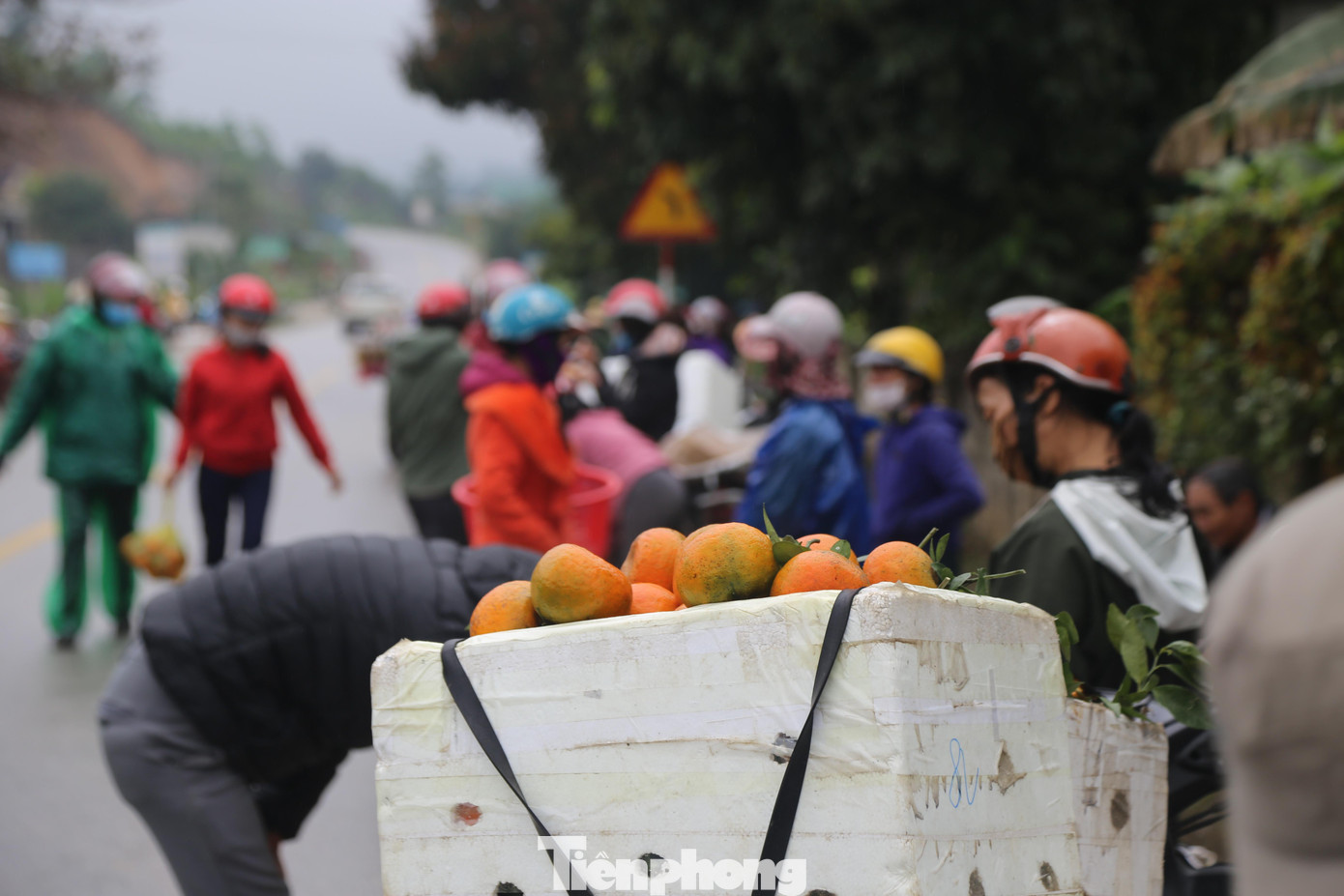 Cam được người dân đựng vào các thùng xốp để mang ra đường bán. Mỗi chuyến xe máy người dân chở được từ 20-50kg cam.