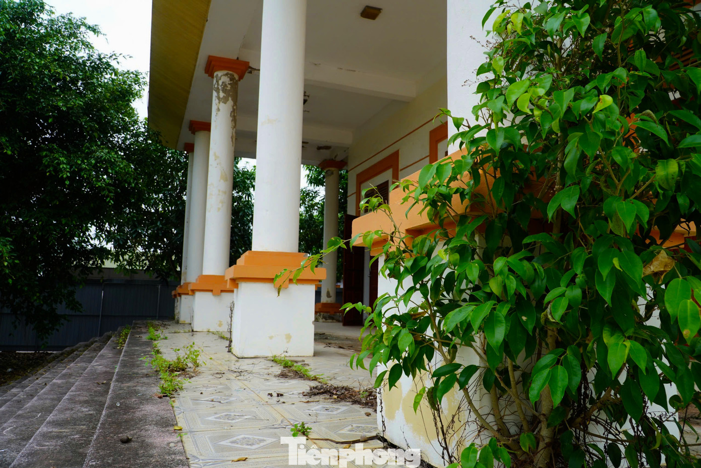 Các hệ thống nền nhà có hiện tượng bị nứt, hở hàm ếch. Rêu rong mọc, bám vào những mặt tường...