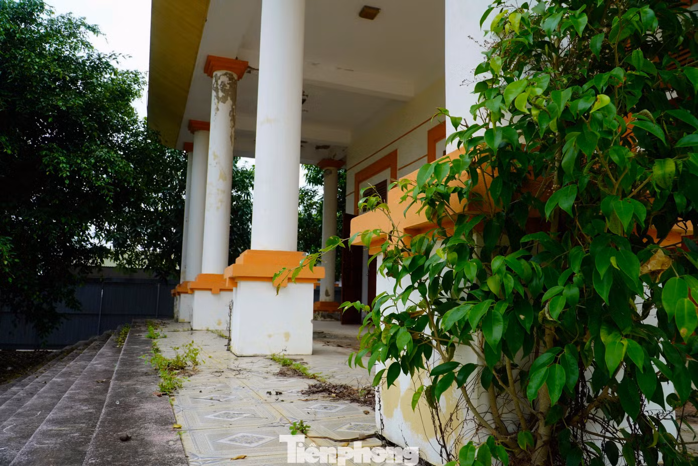 Các hệ thống nền nhà có hiện tượng bị nứt, hở hàm ếch. Rêu rong mọc, bám vào những mặt tường...