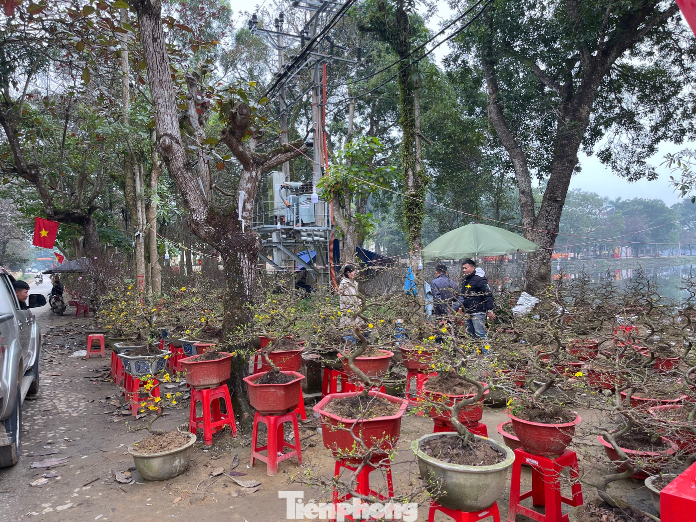 Lượng tiêu thụ giảm, hàng hoa, cây cảnh ngày Tết năm nay trở nên ế ẩm.