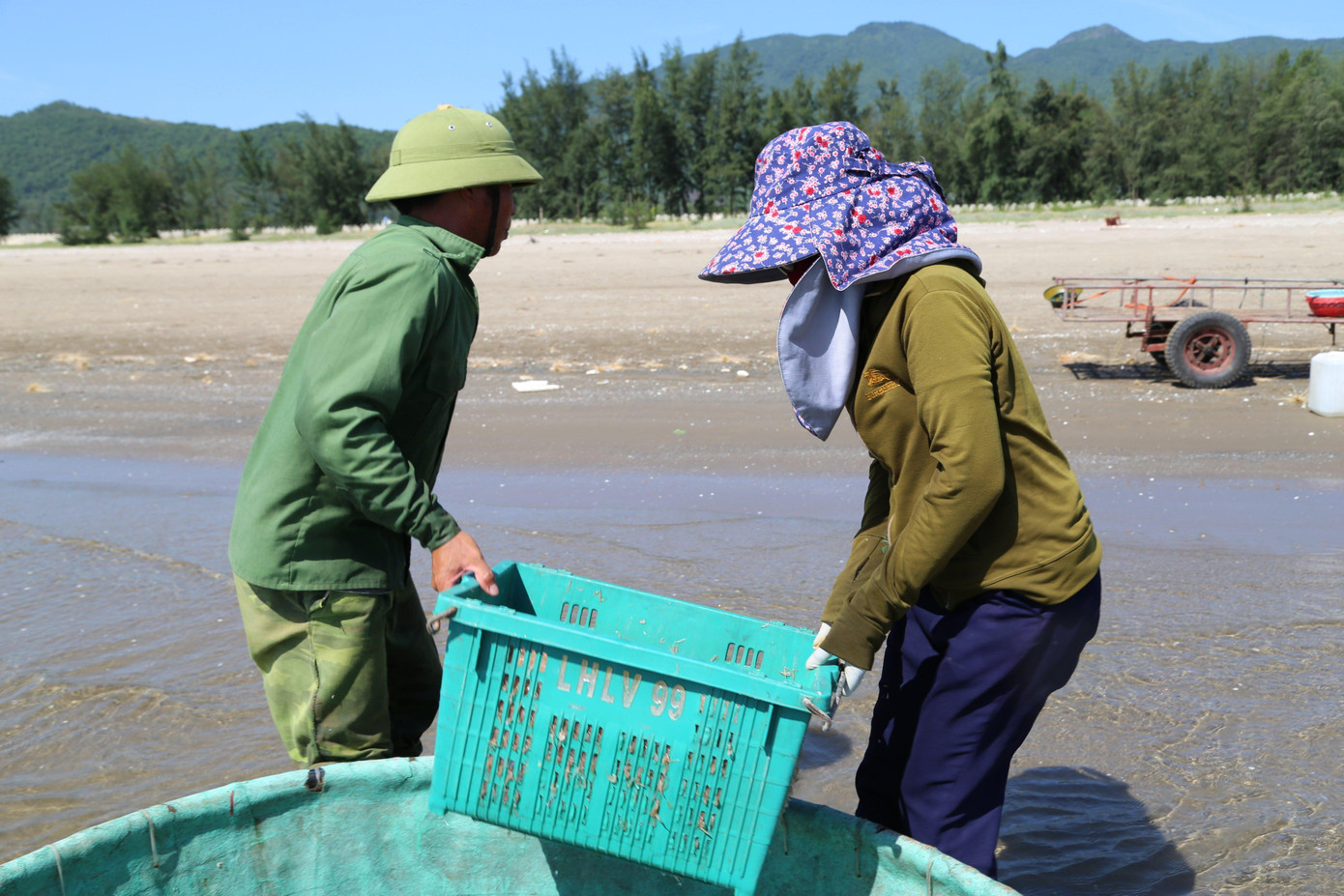 Ruốc biển được đựng trong từng khay. Sau khi lên bờ sẽ được vận chuyển để đưa đi phơi cho kịp nắng.
