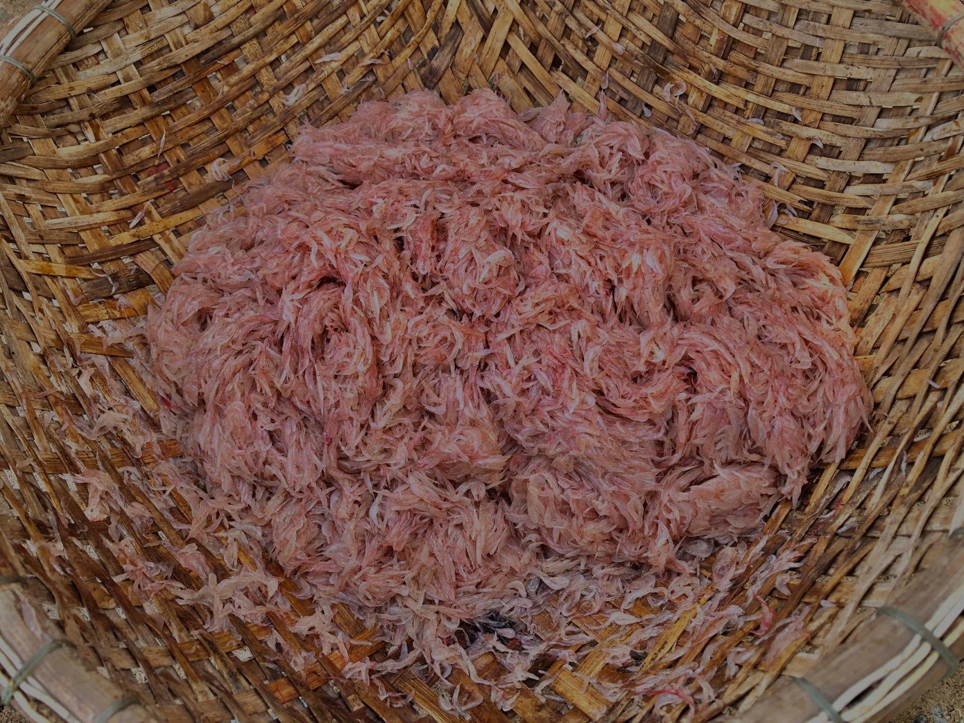 Ruốc biển là thực phẩm quen thuộc với người dân Việt Nam. Không chỉ giàu canxi, ruốc biển dồi dào protein, nhiều hơn so với thịt gà, thịt lợn, thịt bò... Vì thế, khi bước vào mùa ruốc biển, nhiều gia đình đã mua về chế biển các món như: Nấu canh, rang, hấp… ăn kèm với khế chua, các loại rau.