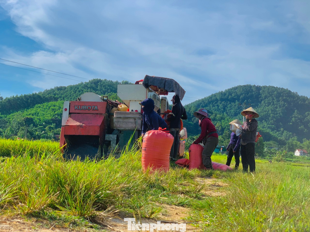Trên cánh đồng rộng hàng chục ha của người dân xã Sơn Giang, huyện Hương Sơn có 4 cỗ máy gặt đập liên hợp đã được huy động để thu hoạch. Nhiều người dân đứng trên bờ để chuyển lúa sau khi thu hoạch về nhà.
