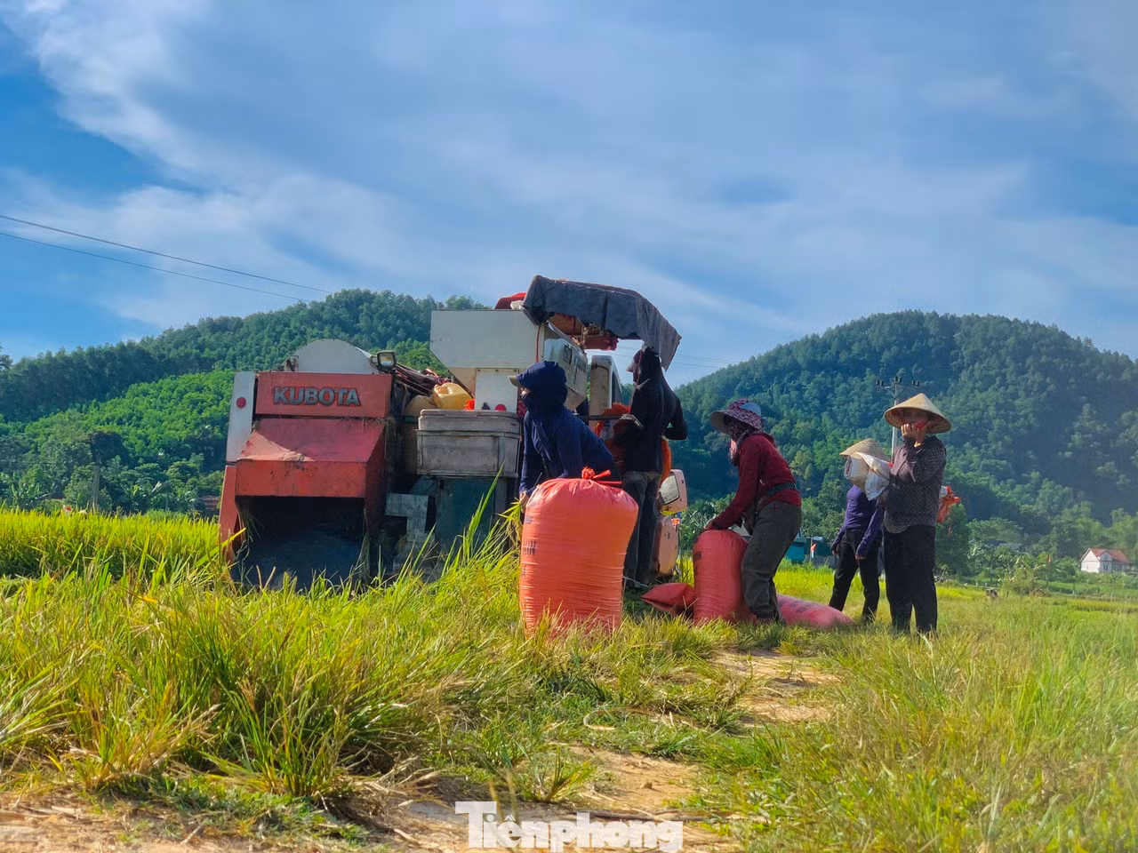 Trên cánh đồng rộng hàng chục ha của người dân xã Sơn Giang, huyện Hương Sơn có 4 cỗ máy gặt đập liên hợp đã được huy động để thu hoạch. Nhiều người dân đứng trên bờ để chuyển lúa sau khi thu hoạch về nhà.