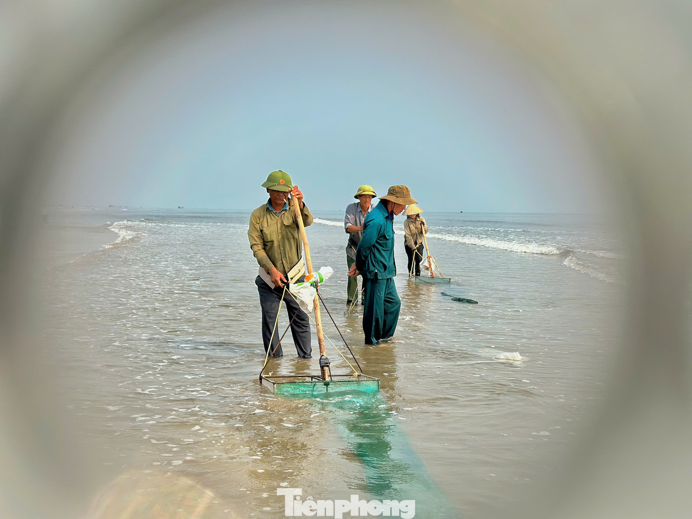 Không khí lao động trên bờ biển vô cùng náo nhiệt. Mỗi người tự thiết kế cào để đánh bắt ốc. Không khí lao động trên bờ biển vô cùng náo nhiệt. Mỗi người tự thiết kế cào để đánh bắt ốc.