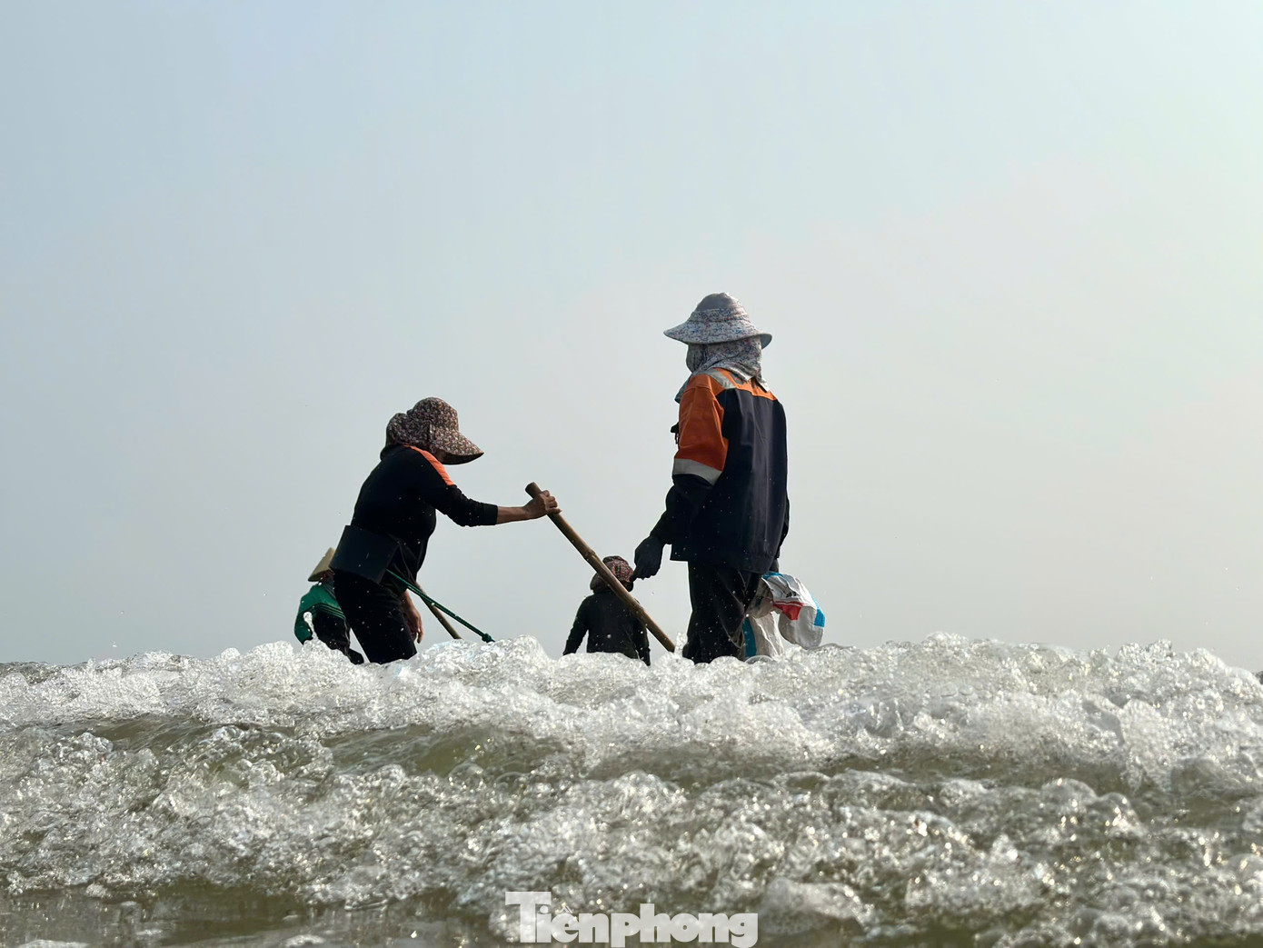 "Không mất chi phí gì, chỉ hơi vất vả vì ngâm mình nhiều giờ dưới nước, nhưng bù lại kiếm được từ 1-4 triệu đồng/ngày nên người dân rất phấn khởi. Dịp này ốc theo con sống dạt vào nhiều, người dân tranh thủ thời gian rảnh đi cào", bà Lê Thị Biên (60 tuổi, trú xã Cẩm Dương) chia sẻ. "Không mất chi phí gì, chỉ hơi vất vả vì ngâm mình nhiều giờ dưới nước, nhưng bù lại kiếm được từ 1-4 triệu đồng/ngày nên người dân rất phấn khởi. Dịp này ốc theo con sống dạt vào nhiều, người dân tranh thủ thời gian rảnh đi cào", bà Lê Thị Biên (60 tuổi, trú xã Cẩm Dương) chia sẻ.